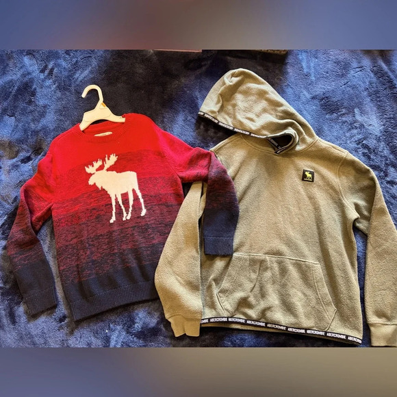abercrombie kids Other - Abercrombie kids bundle boys sweater 7/8 and hoodie 9/10 EUC